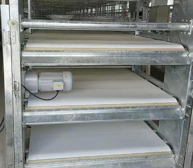 阶梯式蛋鸡自动养殖设备